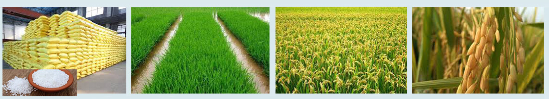 綠色環(huán)保，粉狀有機(jī)肥生產(chǎn)線的未來(lái)發(fā)展一片光明